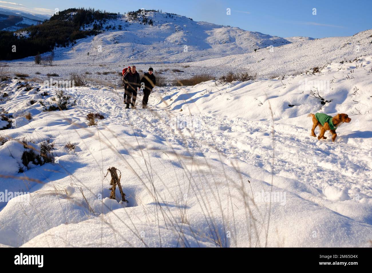 Pitlochry, Scotland, UK. 2nd January 2023. Winter snow, Hikers on the path up a snow covered Ben Vrackie, a prominent corbett at Pitlochry. Credit: Craig Brown/Alamy Live News Stock Photo