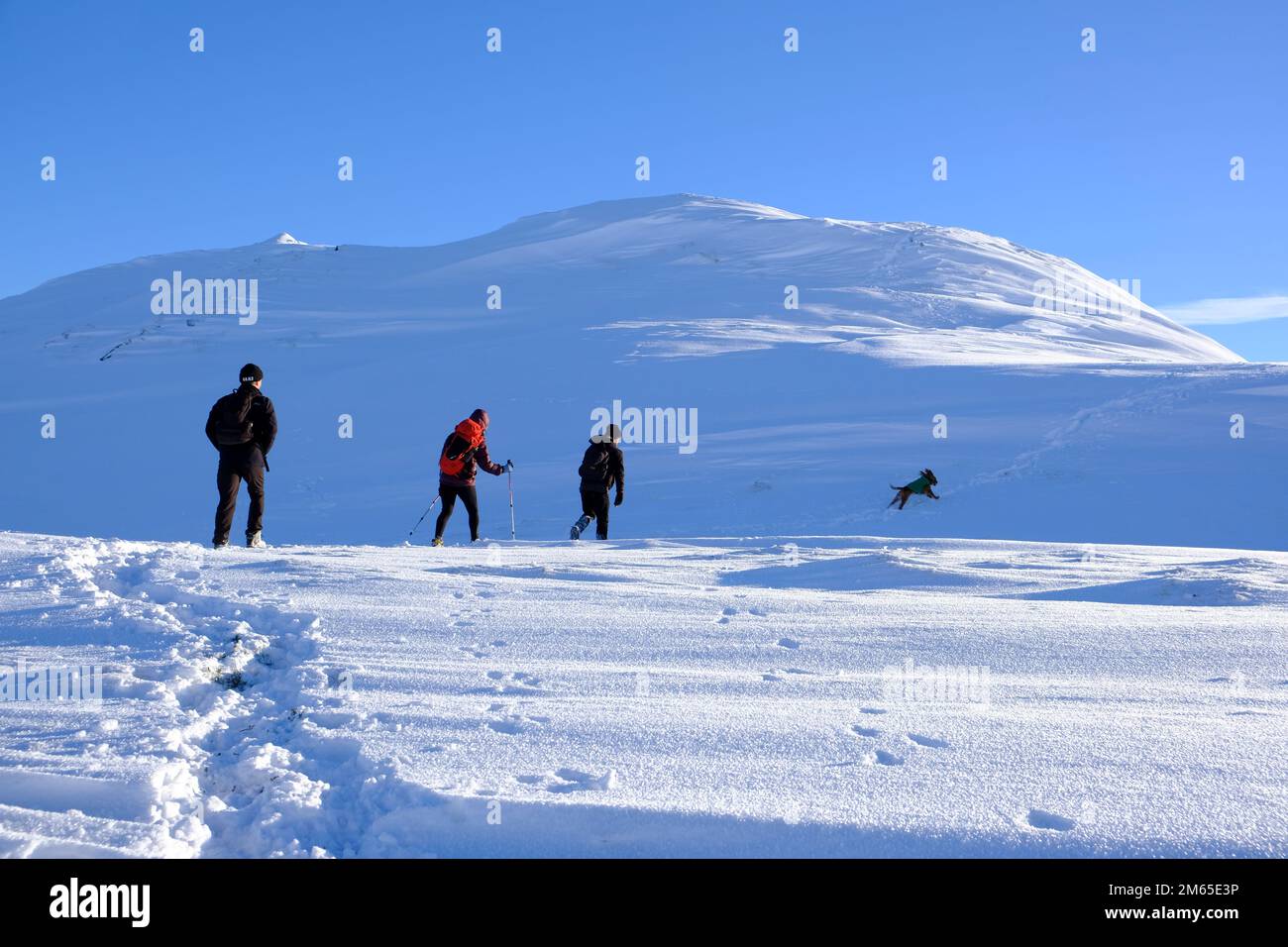 Pitlochry, Scotland, UK. 2nd January 2023. Winter snow, Hikers on the path up a snow covered Ben Vrackie, a prominent corbett at Pitlochry. Credit: Craig Brown/Alamy Live News Stock Photo