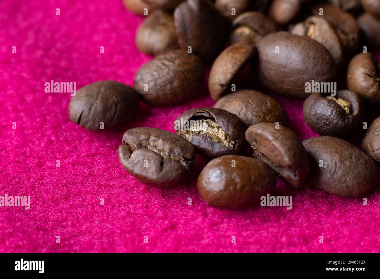 Close up image of fresh brown roasted coffee beans on a vivd magenta background. Copyspace below left. Stock Photo