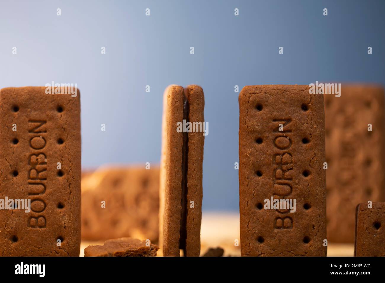 Bourbon Creams - A traditional chocolate biscuit displayed on a blue background.Sweet food often eaten with a cup of tea. Stock Photo