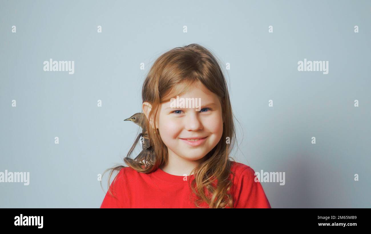 Grown up starling nestling sitting on shoulder of smiling little girl