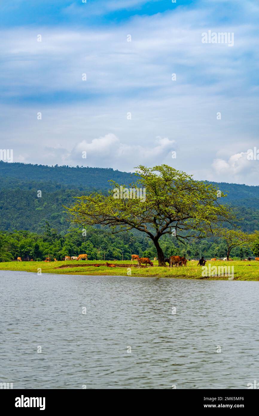 Landscape with lake and mountains view from Bangladesh Stock Photo