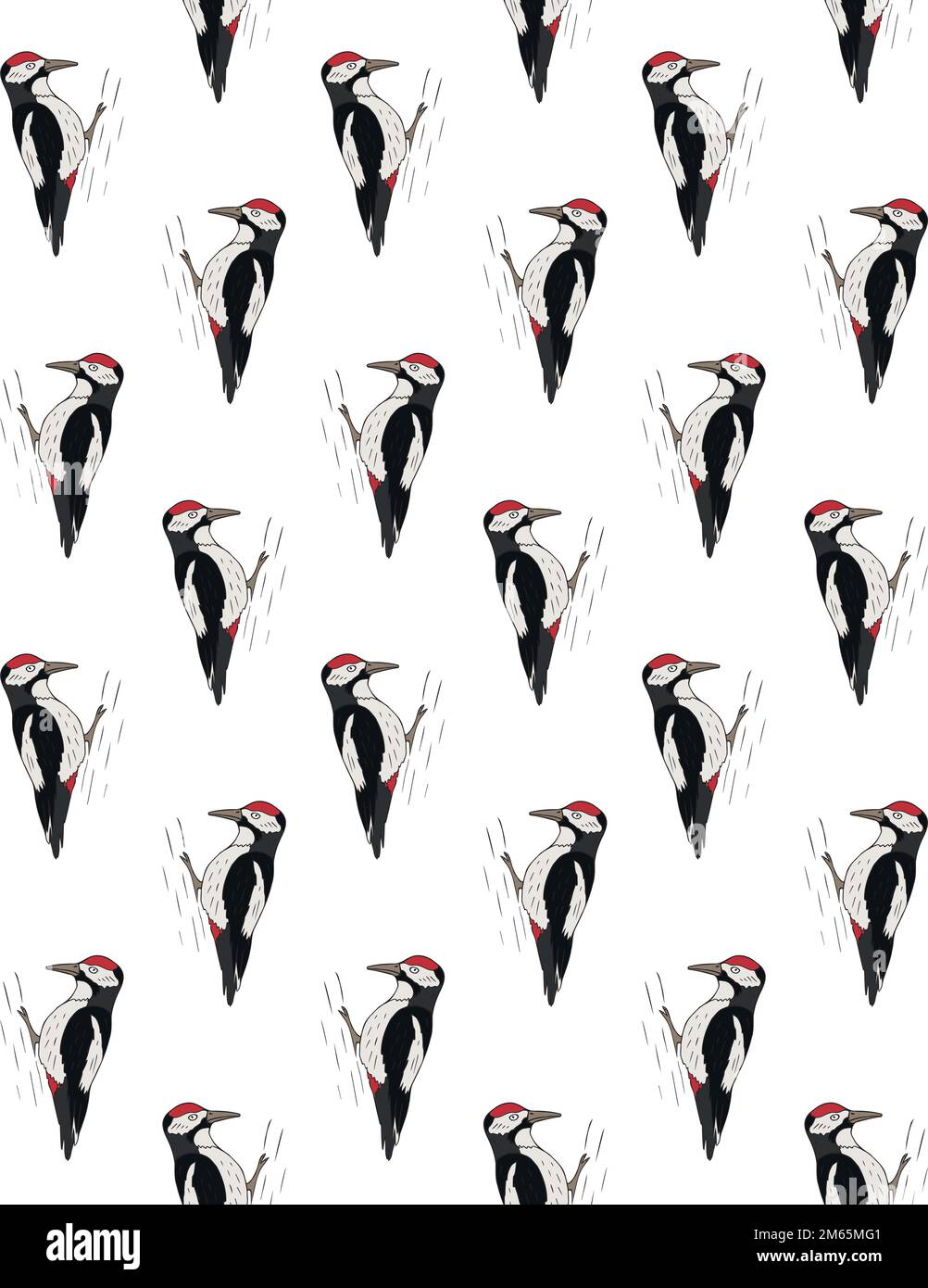Vector seamless pattern of hand drawn colored woodpecker bird isolated