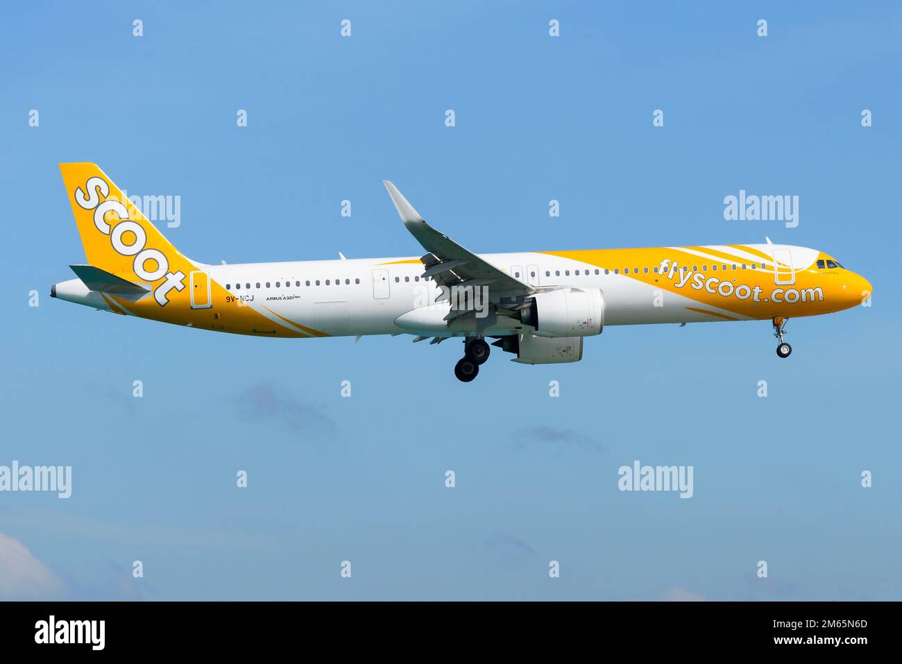 Scoot Airbus A321 airplane flying. Aircraft A321neo of Scoot Airlines. Stock Photo