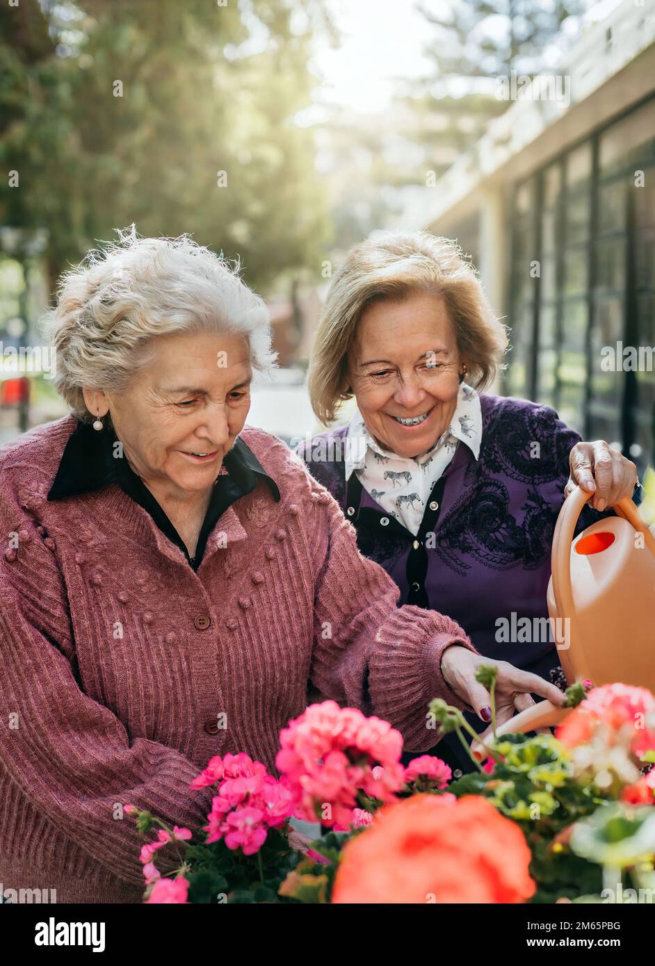 two elderly sisters water the flowers in their residence while smiling