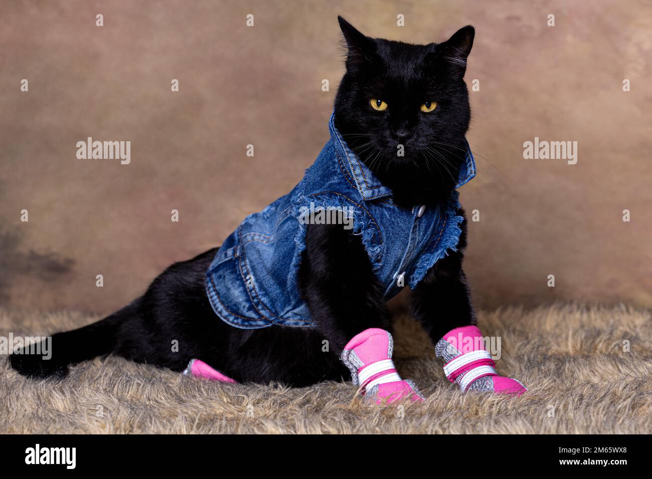 Cat jean clearance jacket