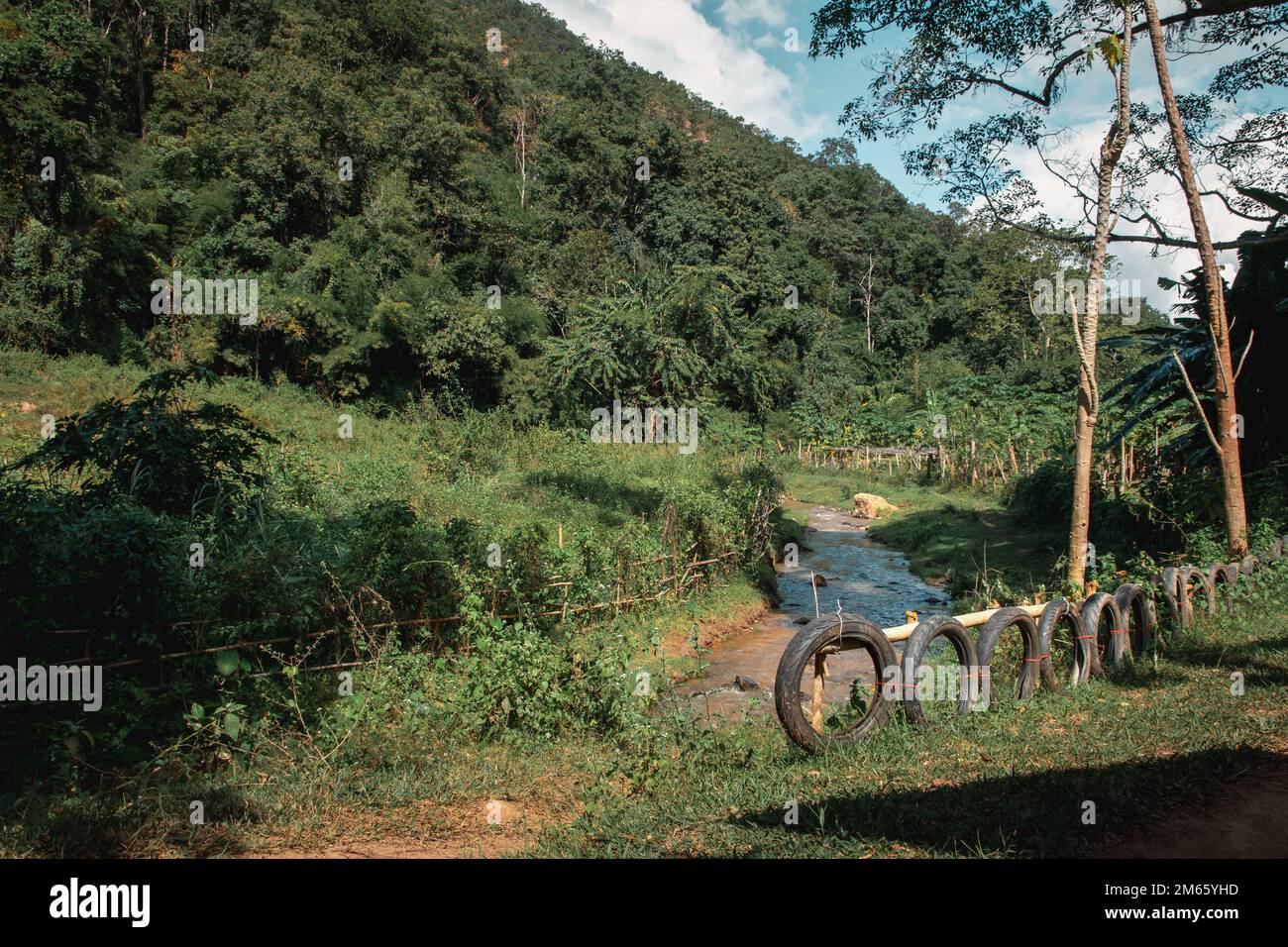 Jungle environment in vietnam war hi-res stock photography and images ...