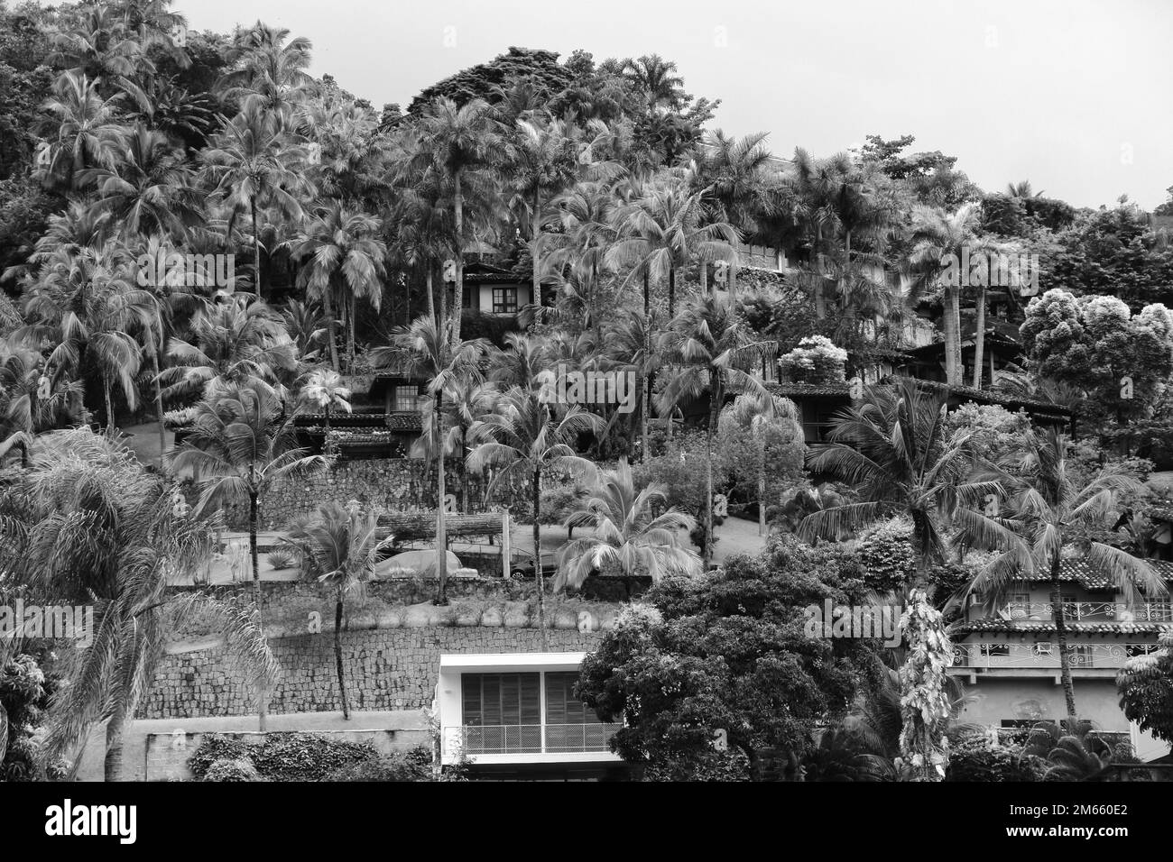 A black and white shot of rural houses surrounded by palms in Ilhabella island, Brazil Stock Photo