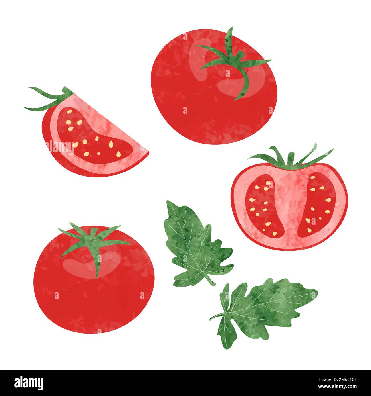 Set of watercolor tomatoes isolated on white background. Vector illustration. Stock Vector