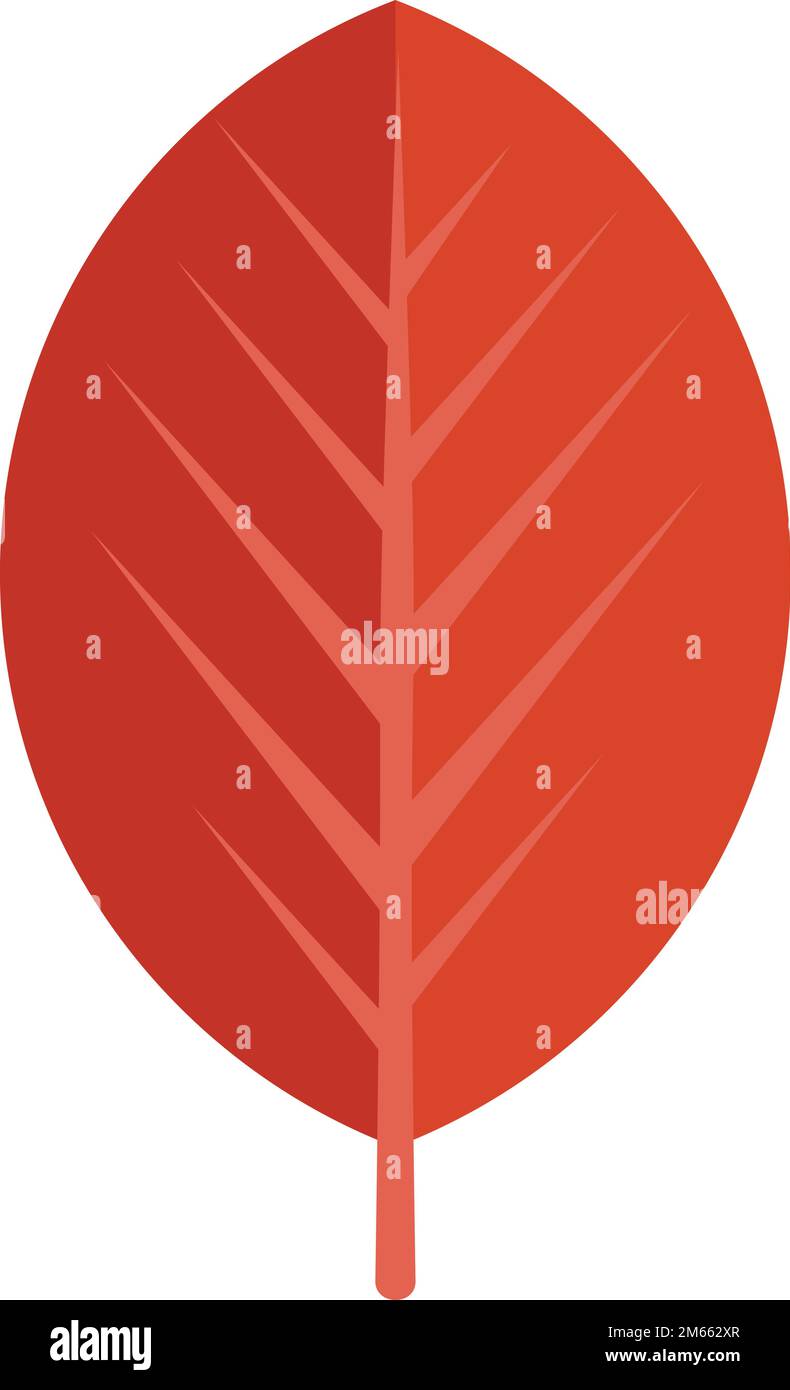 Red leaf icon flat vector. September plant. Oak tree isolated Stock ...