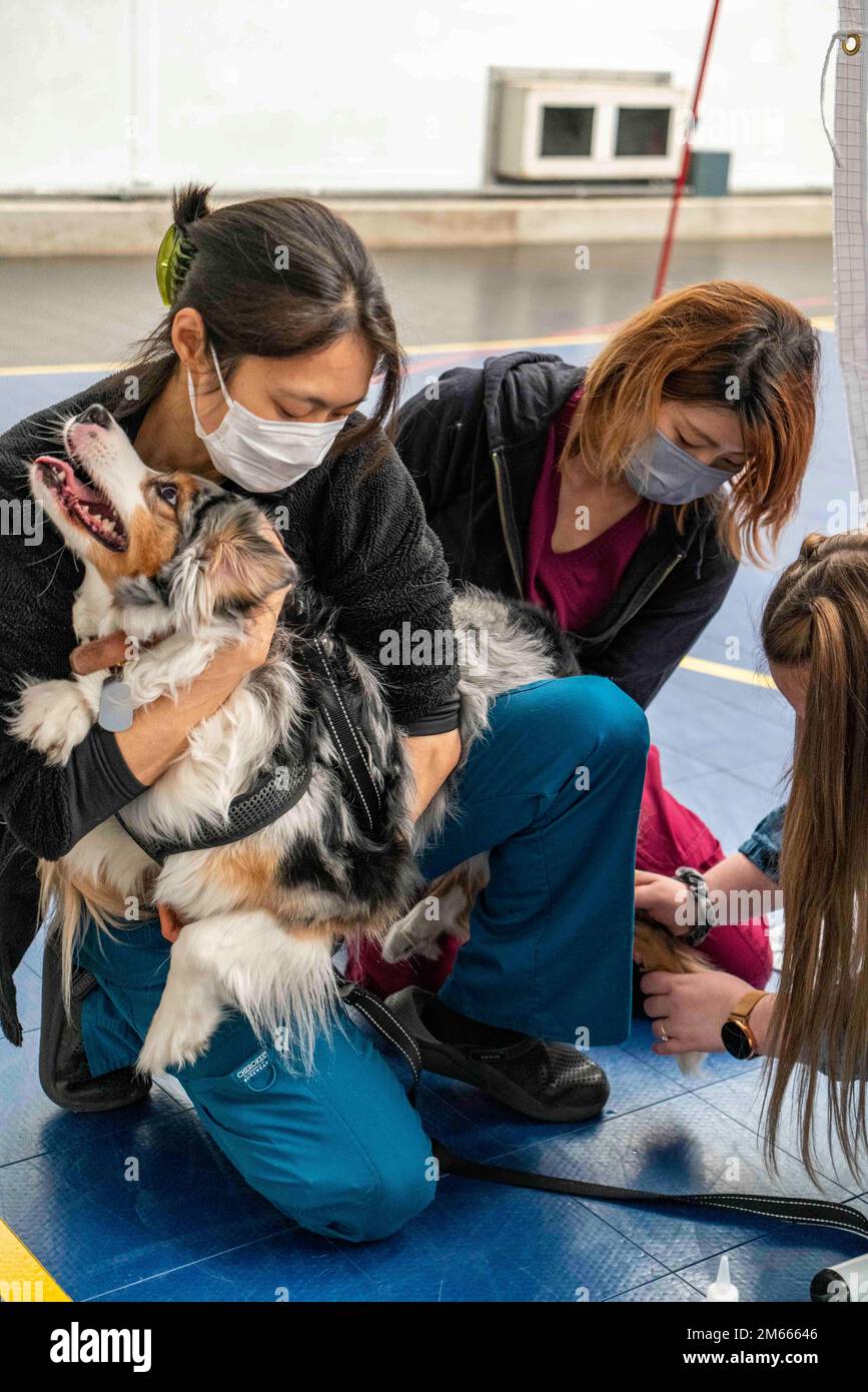 YOKOSUKA, Japan (Apr. 6, 2022) — Members of Fleet Activities (FLEACT