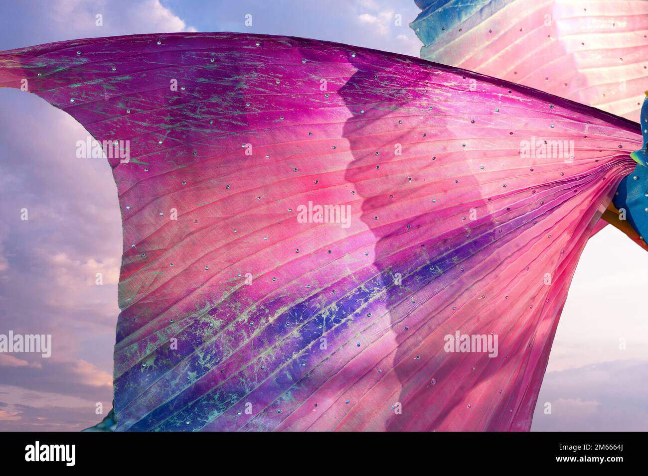 Fairy wings with a blue sky background Stock Photo