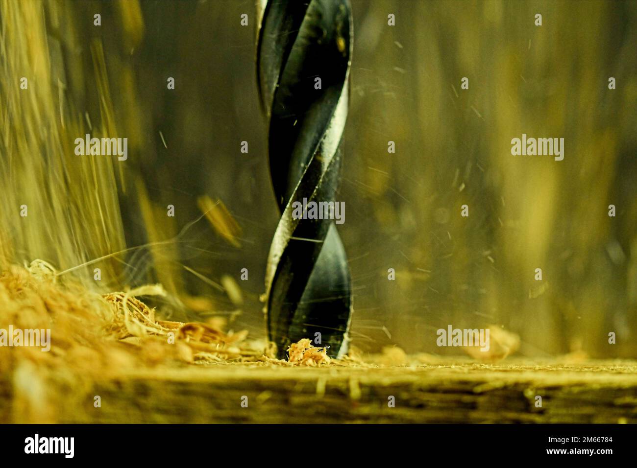 Macro image of the drill bit. Rotating drill bit and flying wood chips