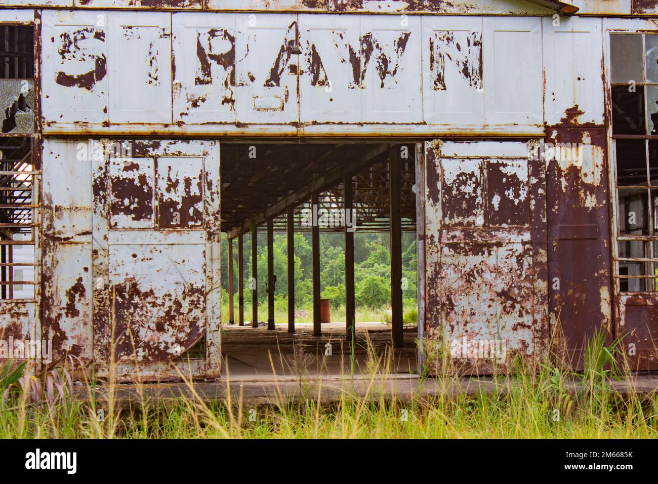 Abandoned and run down orange factory covered in vines and foliage in