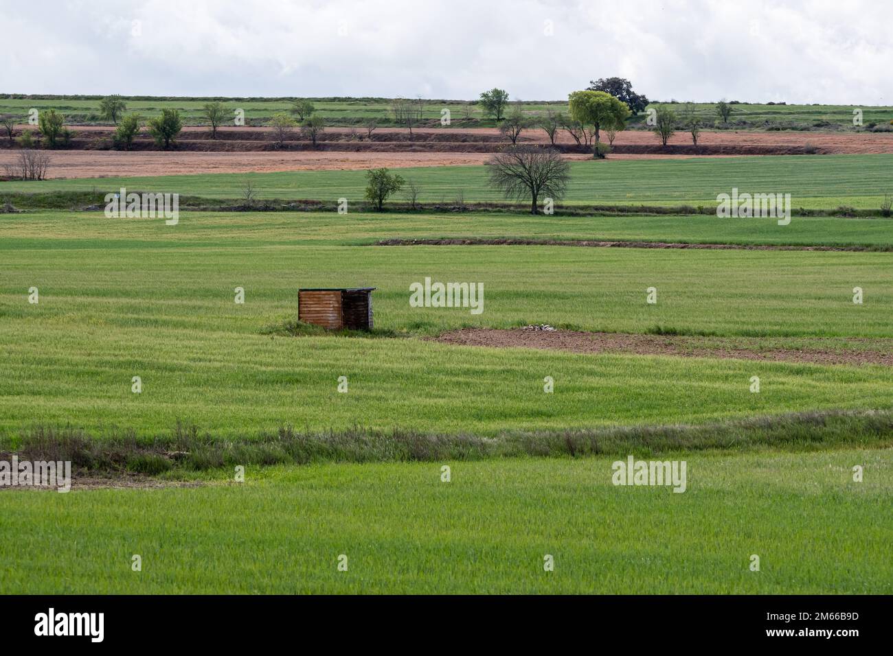 photography hide in a green field, Montgai, Catalonia, Spain Stock Photo