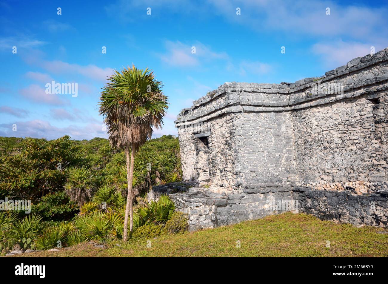 Ruins of Tulum, pre Columbian Mayan city situated on cliffs along the east coast of the Yucatan Peninsula on the Caribbean Sea, Mexico. Stock Photo