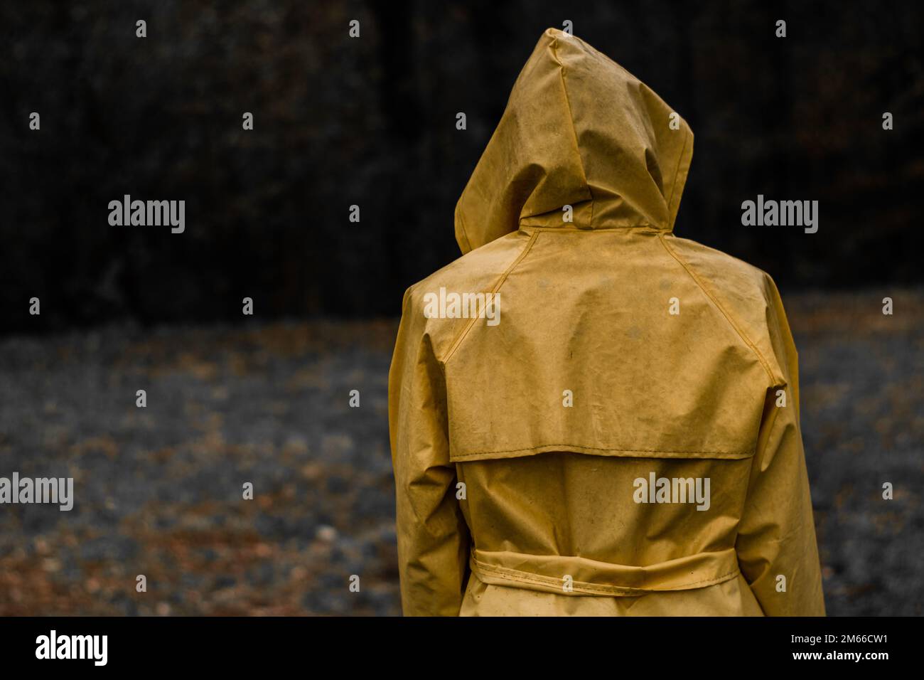 Mysterious woman covered by yellow coat while raining. The figure has his back with his face covered, looks towards the dark forest. Selective colors. Stock Photo