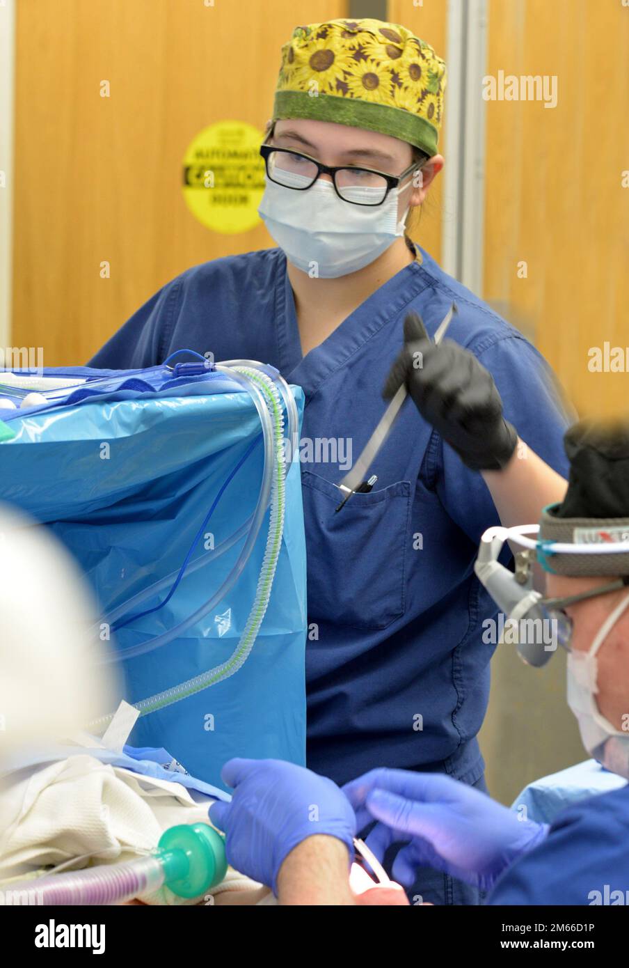 Surgical technologist hi-res stock photography and images - Alamy