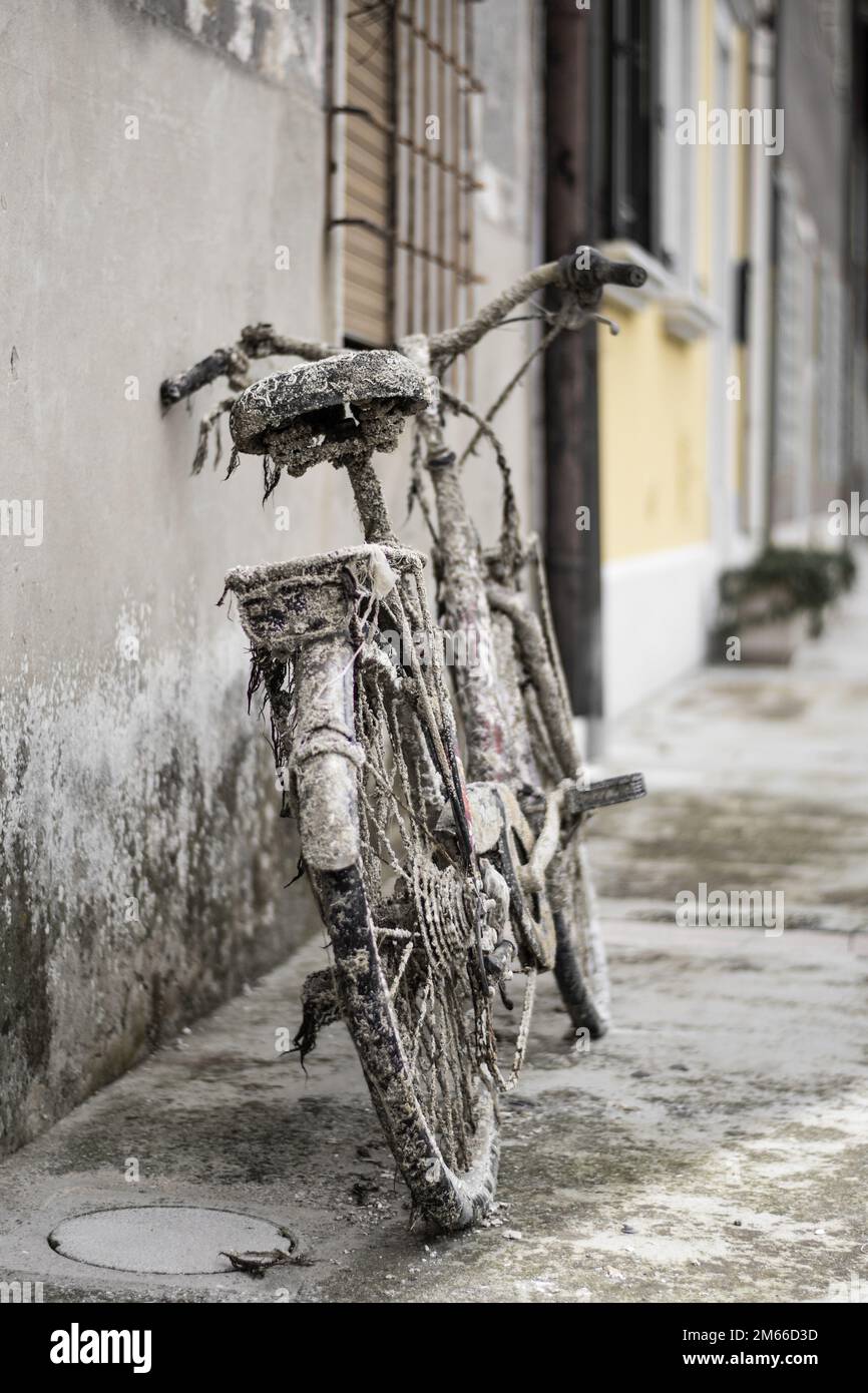 Underwater Rusted Bicycle Rims Under the sea. Old bicycle is fished up from the bottom of a port after ...