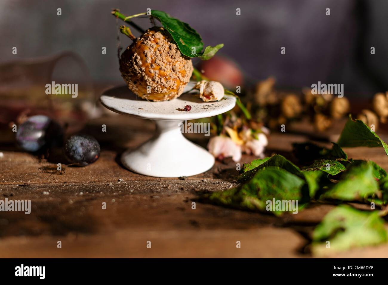 A still life with spoiled fruit in an abandoned house Stock Photo