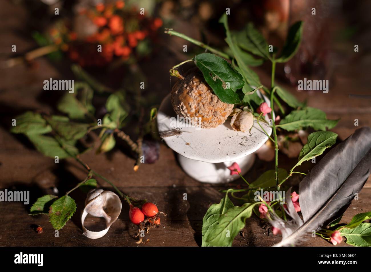 A still life with spoiled fruit in an abandoned house Stock Photo