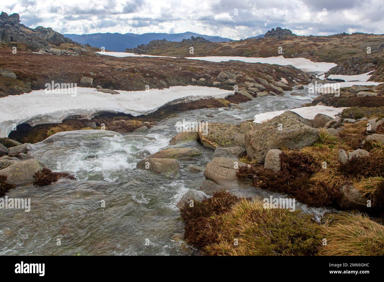 Creek flowing on a high plain in the Snowy Mountains Stock Photo