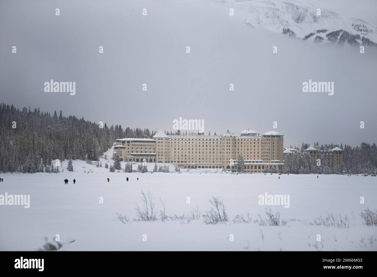 View of the Fairmont Lake Louise chateau, Banff National Park. Alberta, Canada. Stock Photo