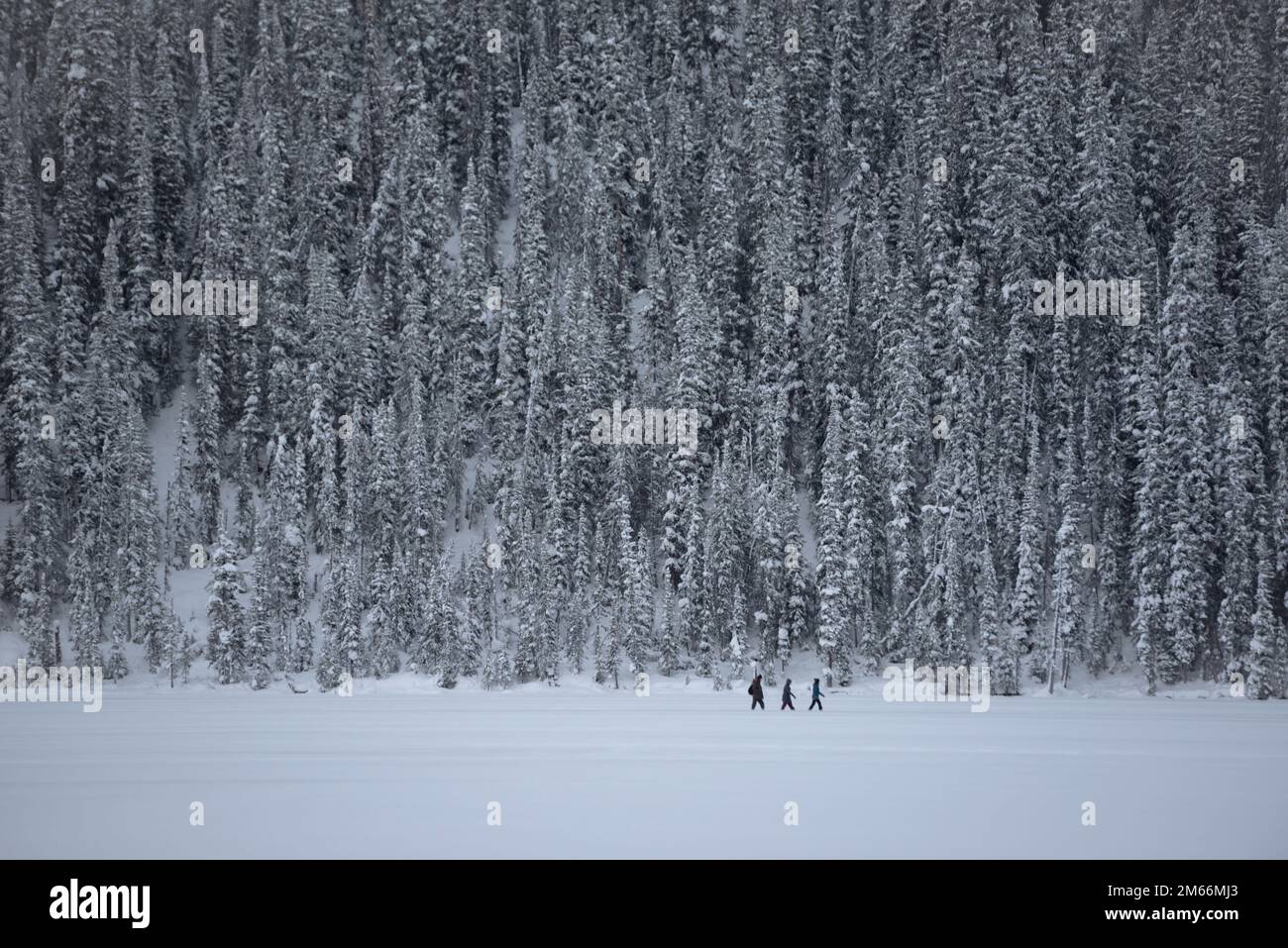 Tourists walk the shore of frozen Lake Louise, Banff National Park. Alberta, Canada Stock Photo