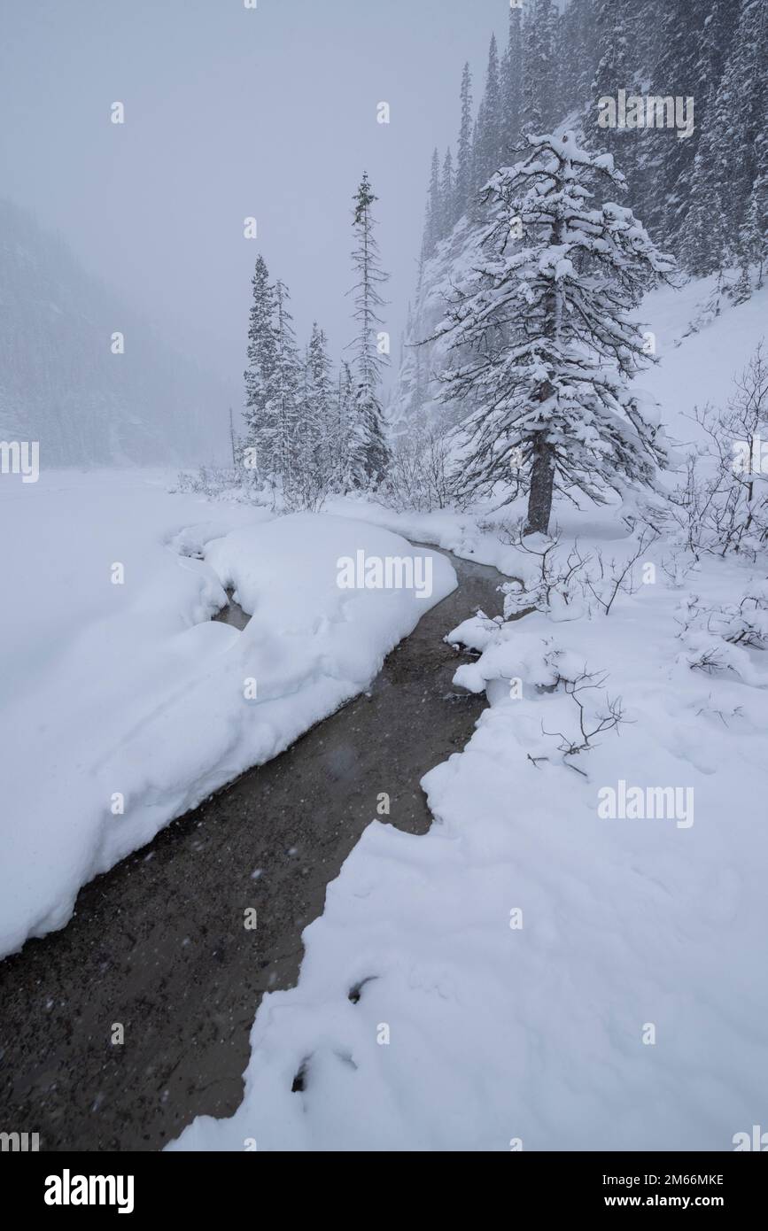 Mid-winter scenes at Lake Louise, Banff National Park. Alberta, Canada. Stock Photo