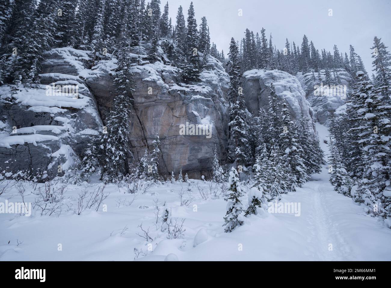 Hiking trail in mid-winter at Lake Louise, Banff National Park. Alberta, Canada Stock Photo
