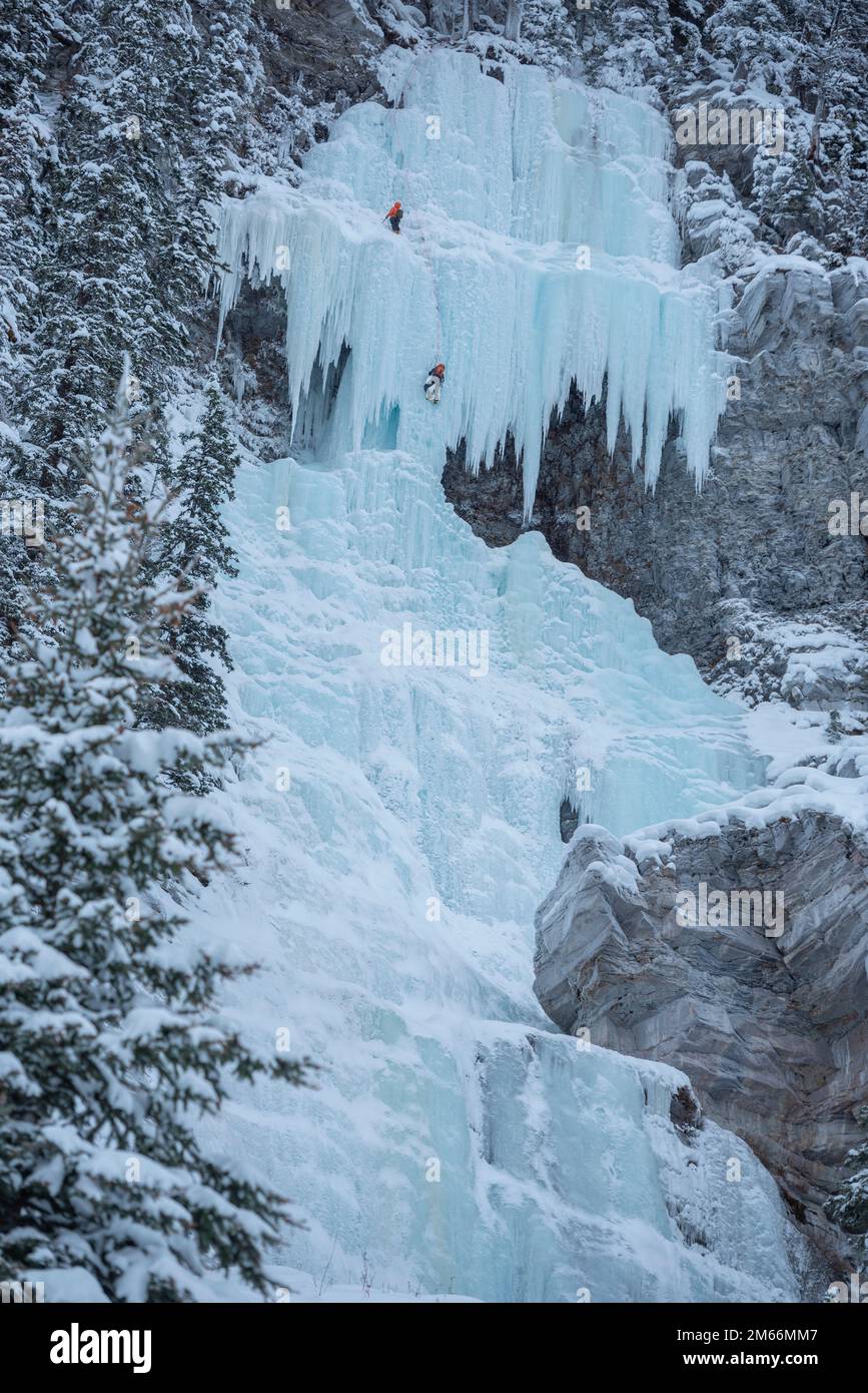 Two ice climbers ascending a frozen ice fall at Lake Louise, Alberta Canada (Banff National Park). Stock Photo
