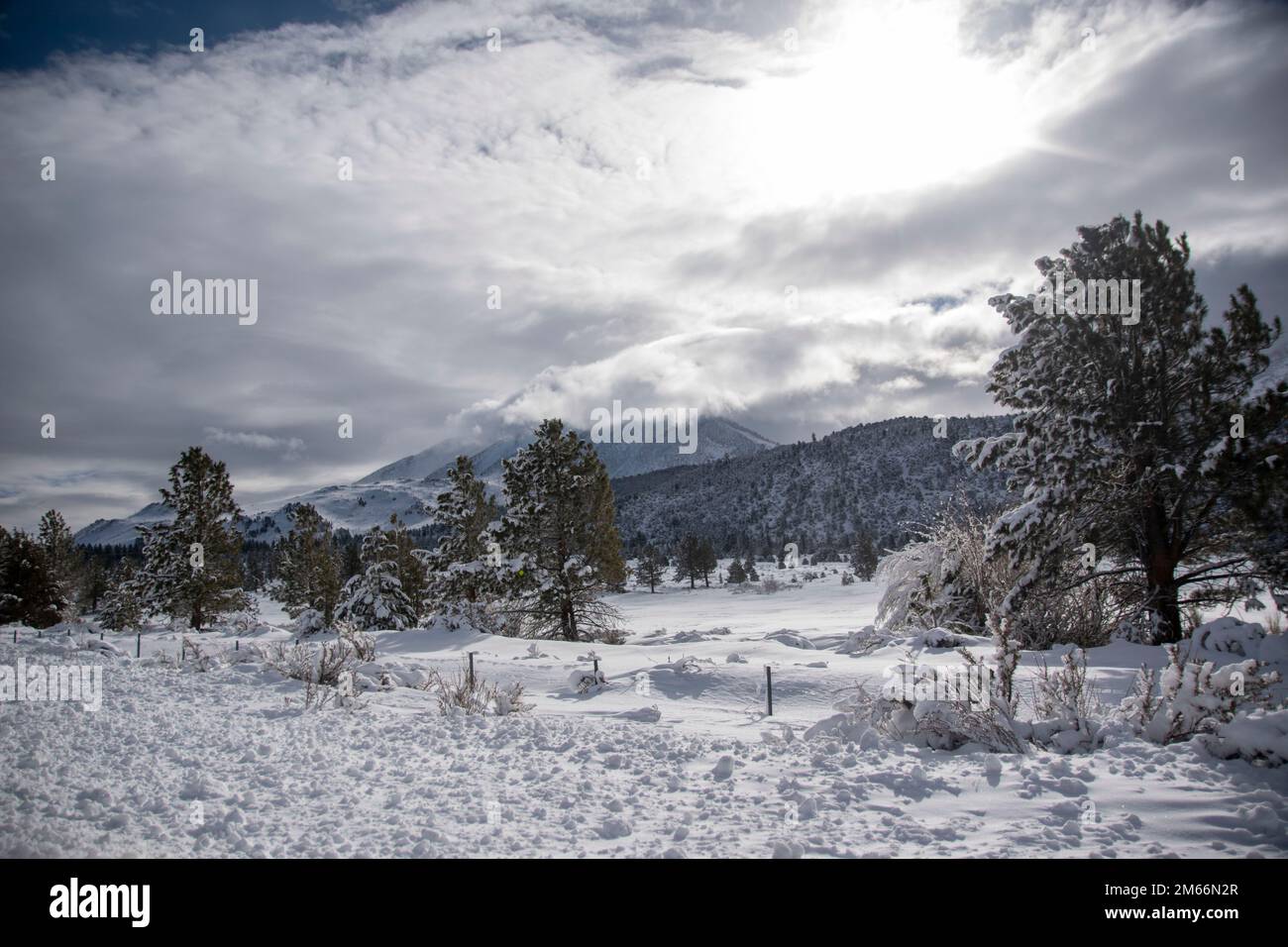 Sherwin Grade Winter snow really transforms the Eastern Sierra around Sherwin Grade ...