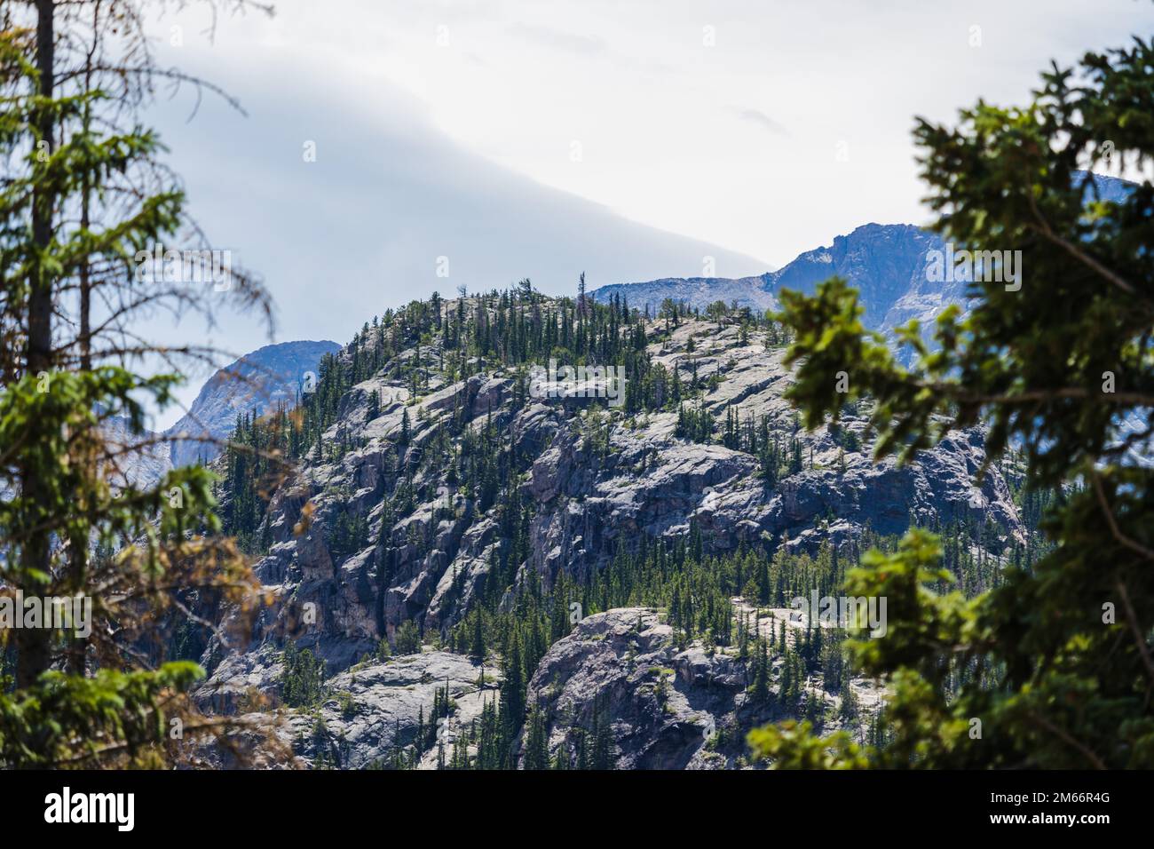 Mountains surrounded by trees and rolling hills in Rocky Mountain National Park Stock Photo
