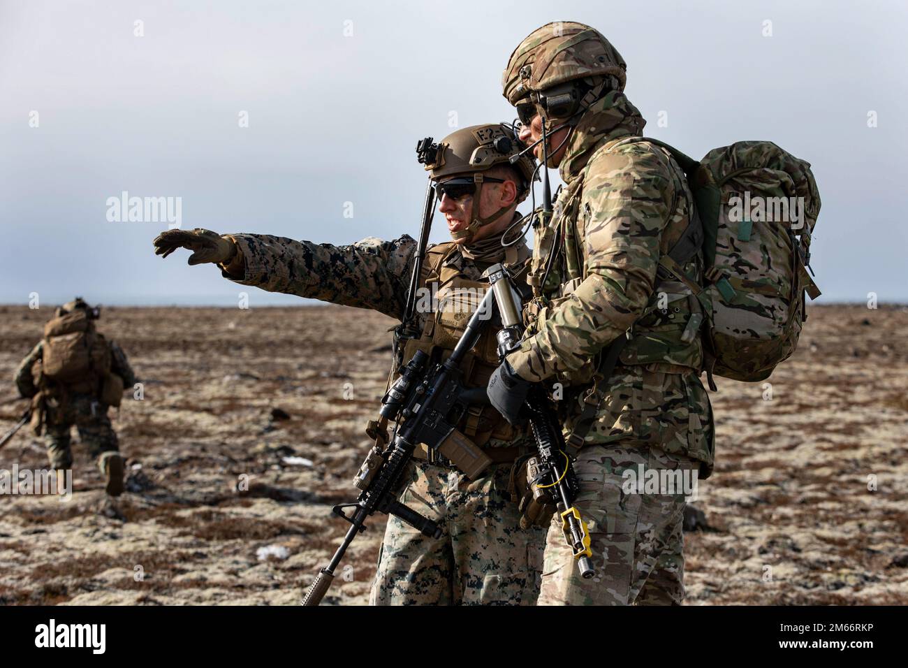 Force 42 commando hi res stock photography and images Page 2 Alamy