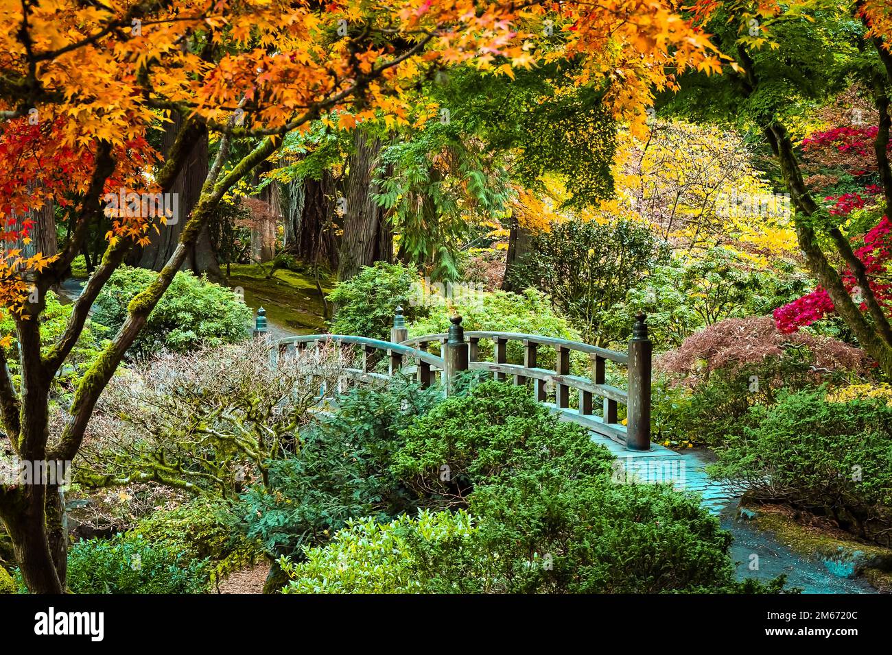 Portland Japanese Garden in Oregon Stock Photo Alamy