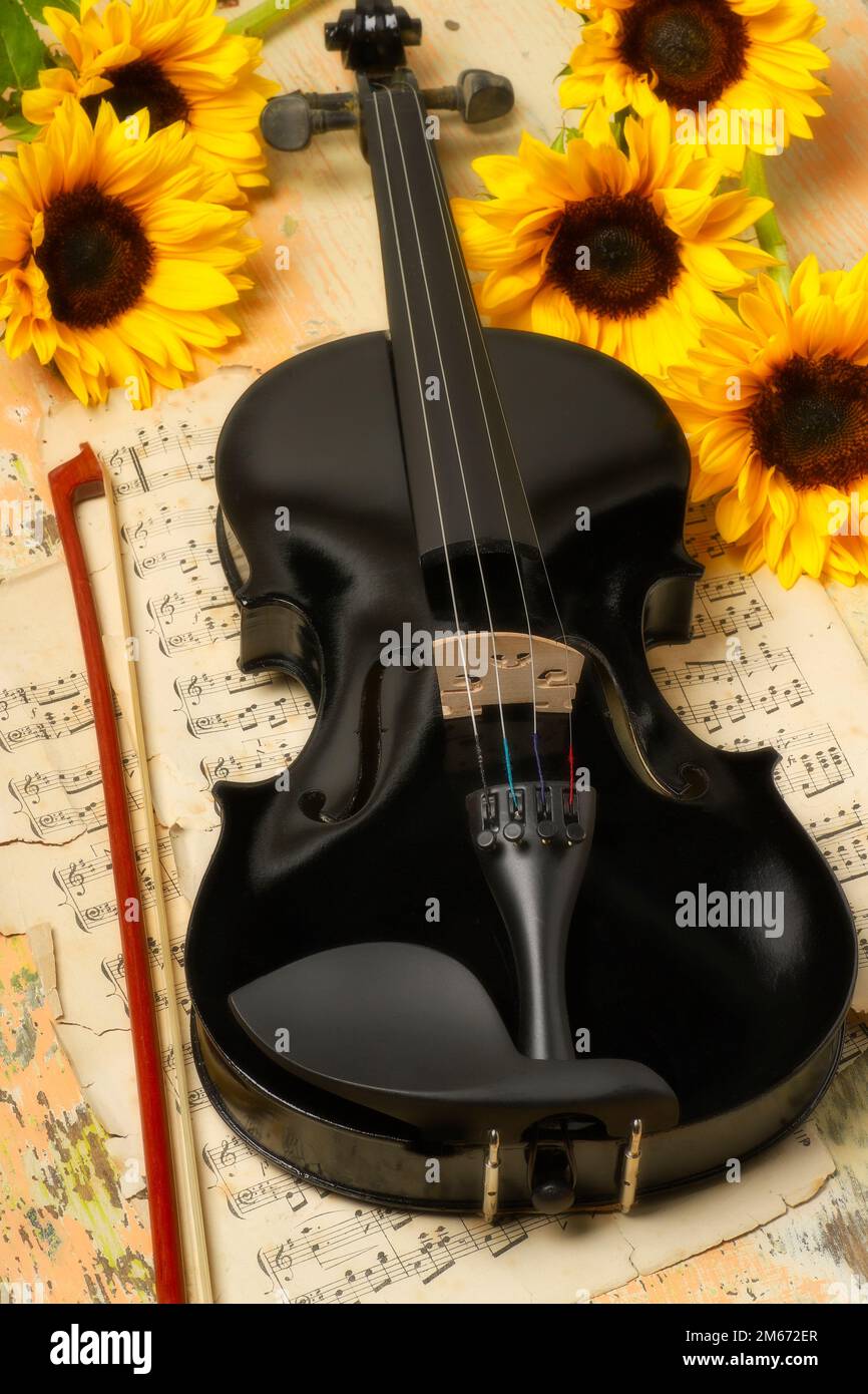 Five sunflowers hi-res stock photography and images - Alamy