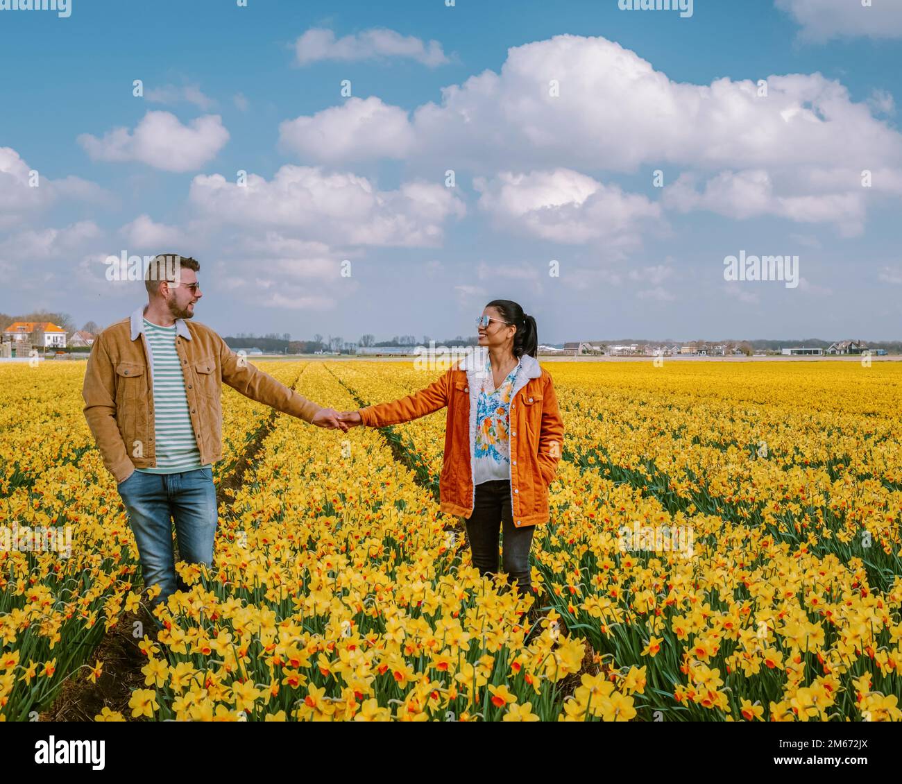 yellow flower field, a couple walking in yellow flower bed yellow daffodil flowers during Spring in the Netherlands Lisse during Spring Stock Photo