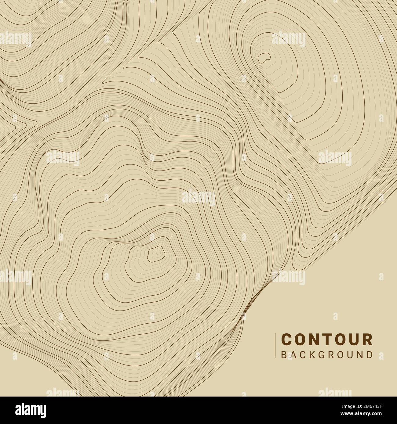 25,200+ Contour Lines Seamless Stock Photos, Pictures & Royalty