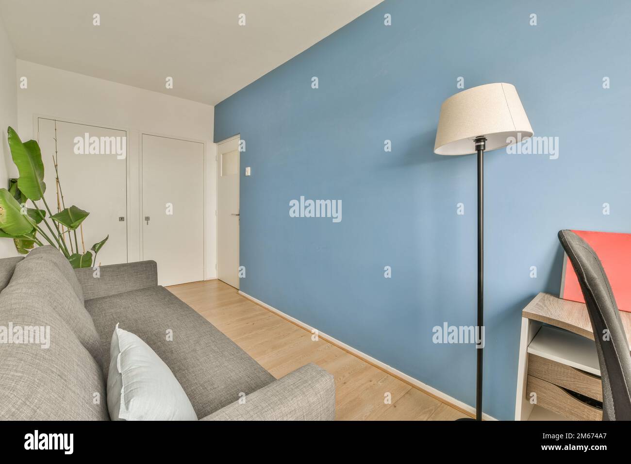a living room with blue walls and hardwood flooring, including a grey