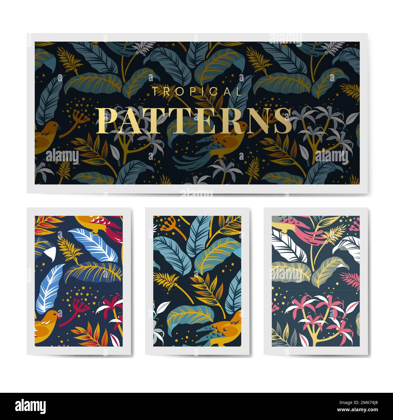 Colorful birds in nature seamless patterned backgrounds set vector Stock Vector