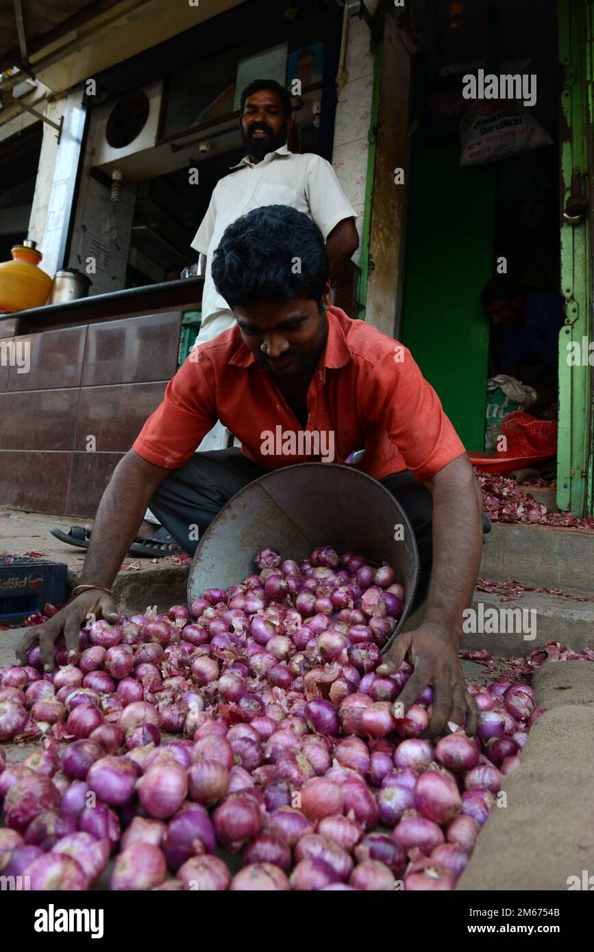 Man onion hi-res stock photography and images - Alamy