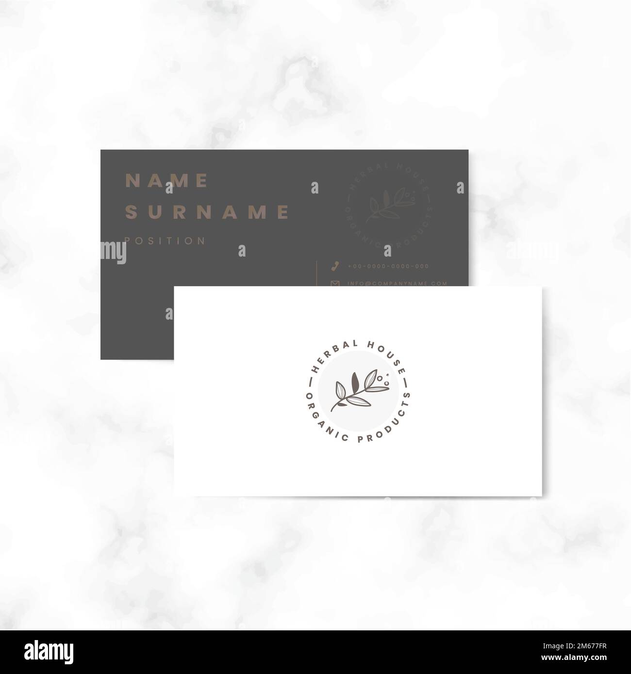 Botanical two sided name card vector Stock Vector Image & Art Alamy