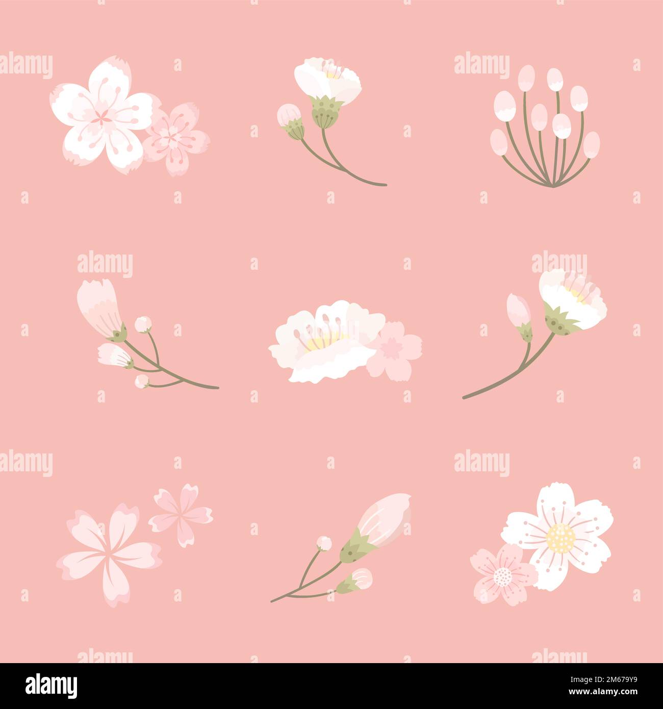 Pink cherry blossom elements collection vector Stock Vector Image & Art ...