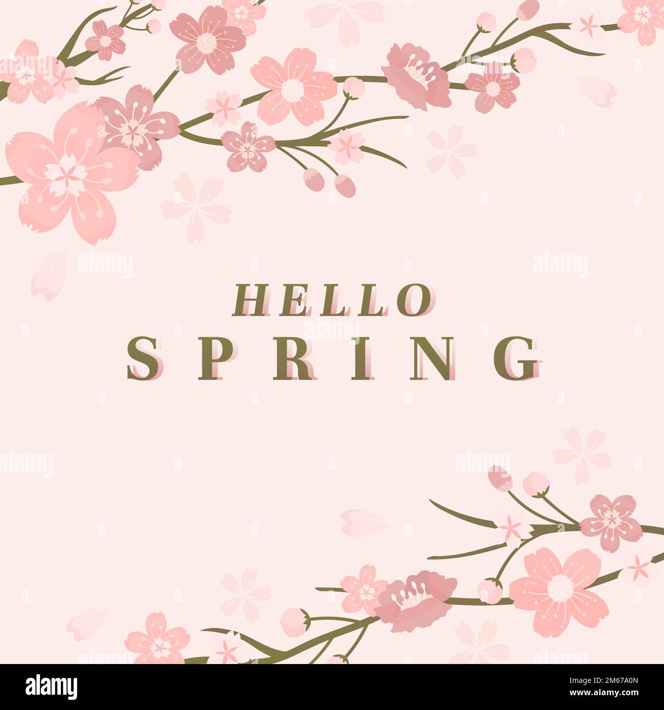 Pink cherry blossom background vector Stock Vector Image & Art - Alamy