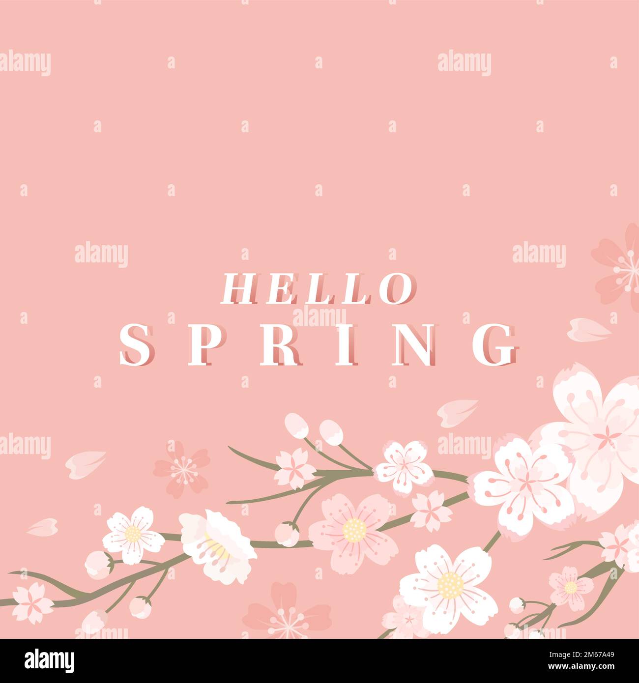 Pink cherry blossom background vector Stock Vector Image & Art - Alamy