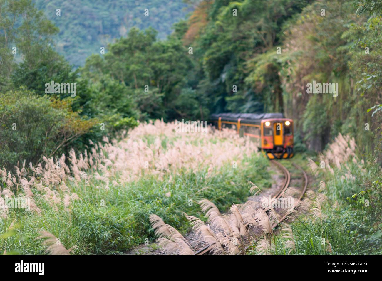 Yellow train is passing through the mountains. Background is out of
