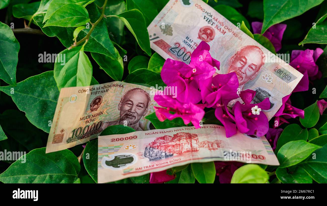 Vietnamese money currency 200 000 and 10 000 dong banknote flower