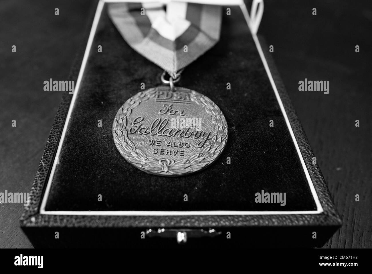 World War Dog Medal Black And White Stock Photos Images Alamy world-war-dog-medal-black-and-white-stock-photos-images-alamy