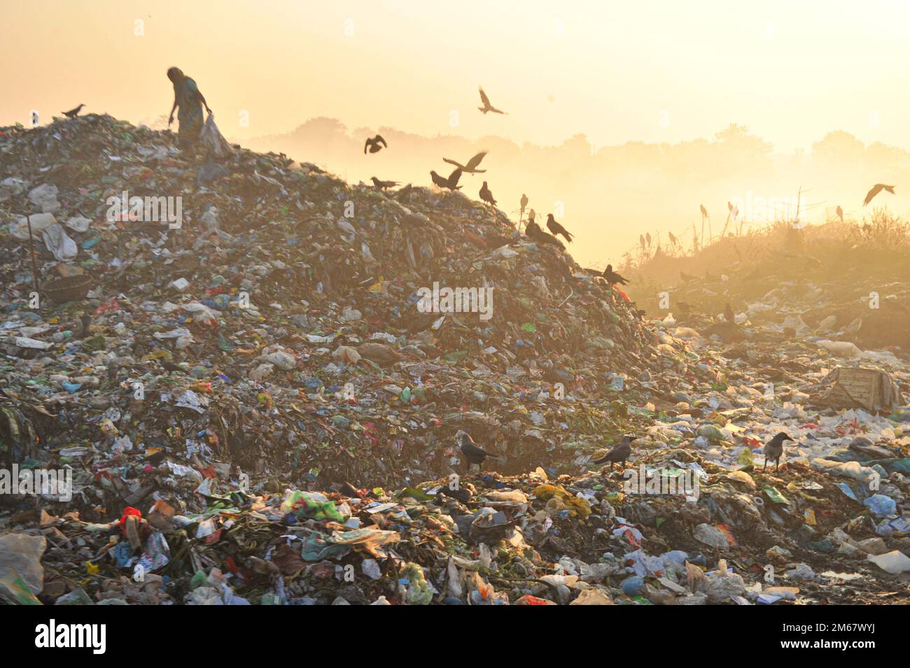 Sylhet, Bangladesh. 03 January 2023 In SylhetBangladesh Workers are