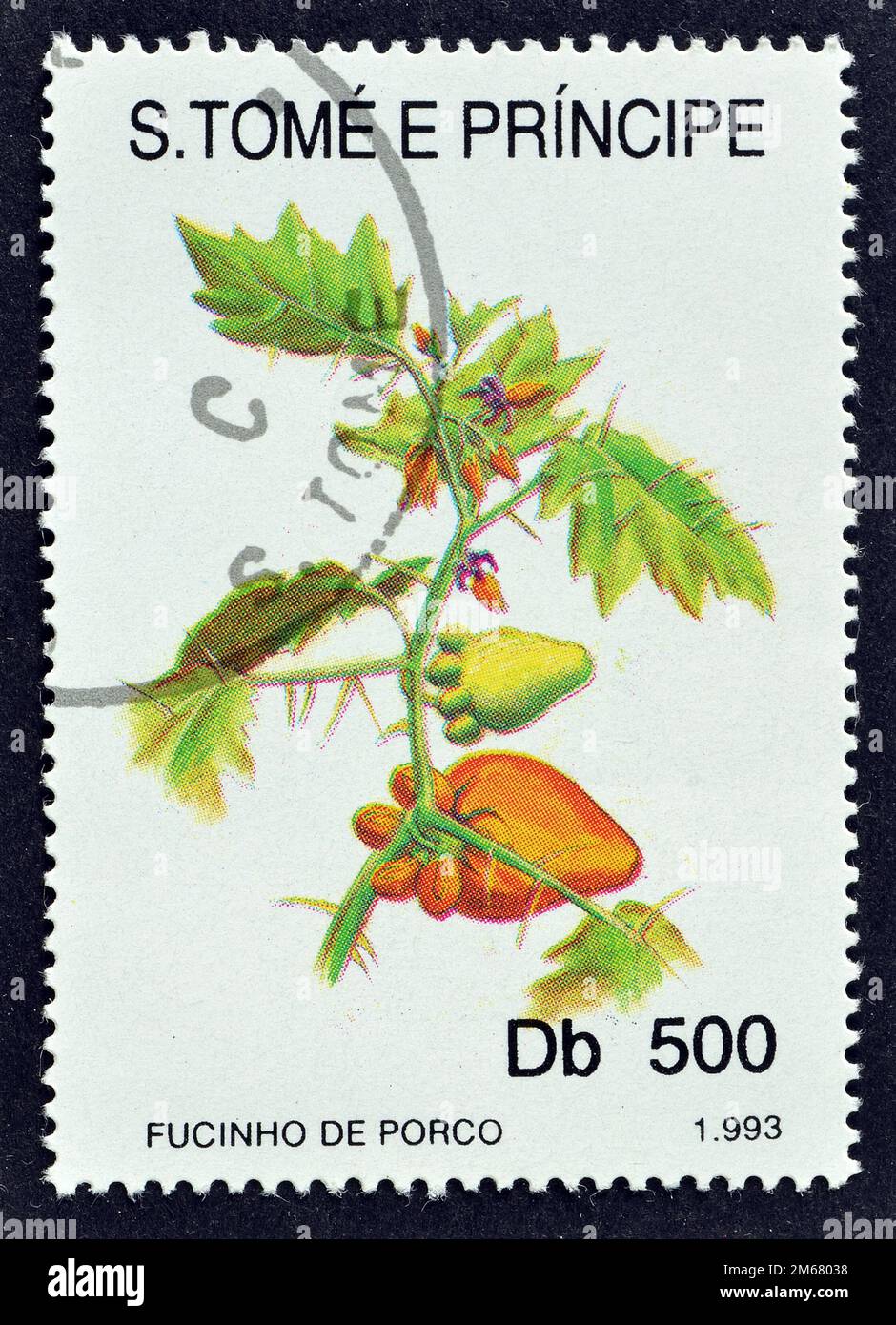 Cancelled postage stamp printed by Sao Tome and Principe, that shows Spondias mombin flower ...